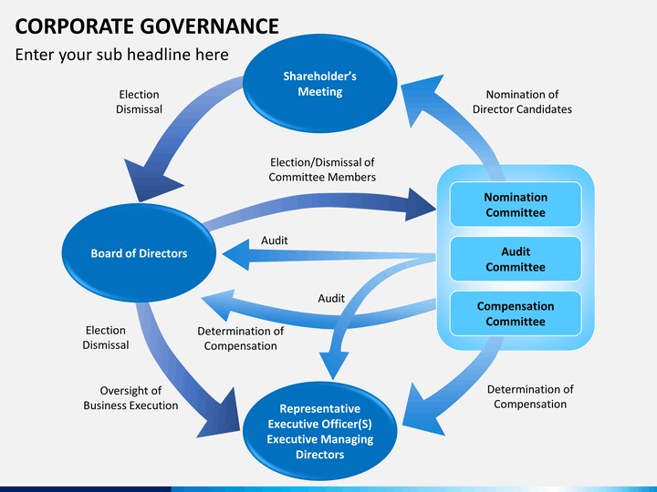 Example for corporate governance analysis
