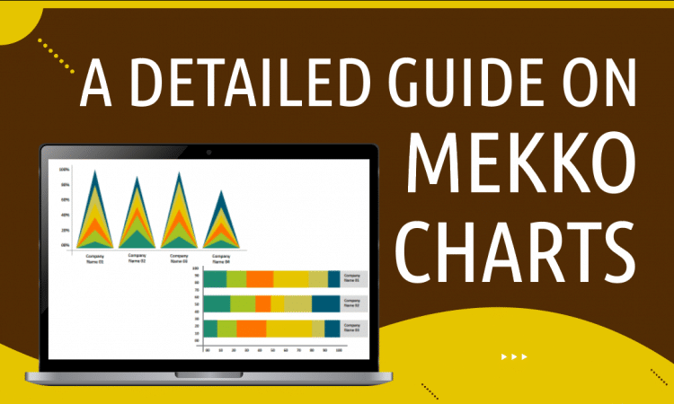 A Beginner’s Guide to Mekko Charts