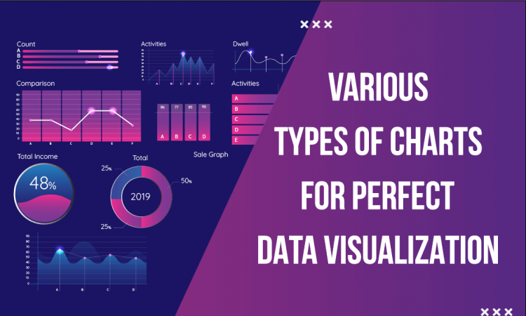 Various Types of Charts for Perfect Data Visualization