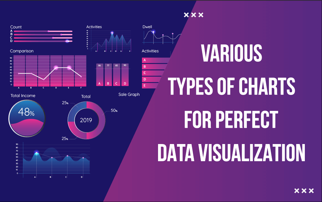 Various Types of Charts for Perfect Data Visualization