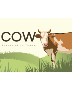 Presentación de la vaca en miniatura PPT