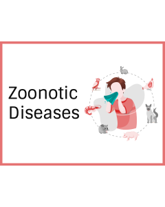 Penyakit Zoonosis PPT Gambar Kecil