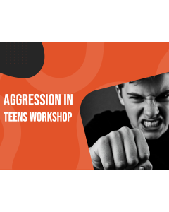 Workshop sull'aggressività negli adolescenti - Presentazione PPT (Miniatura)