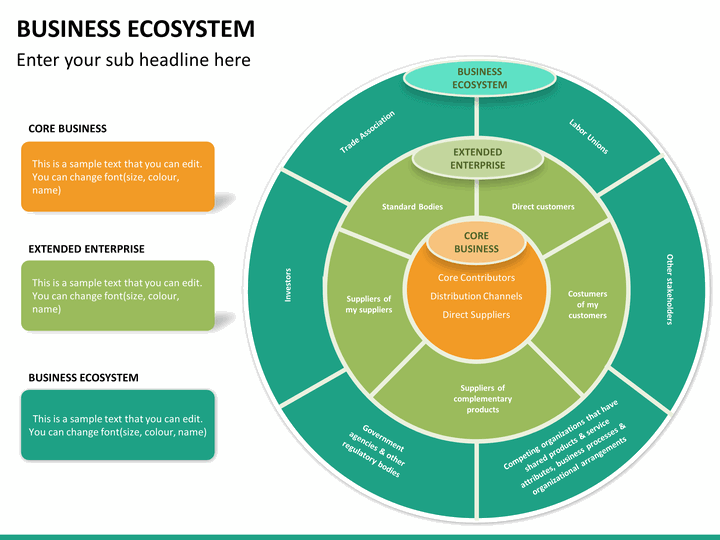 Business Ecosystem PowerPoint Template  SketchBubble