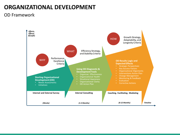 Organizational Development PowerPoint Template | SketchBubble